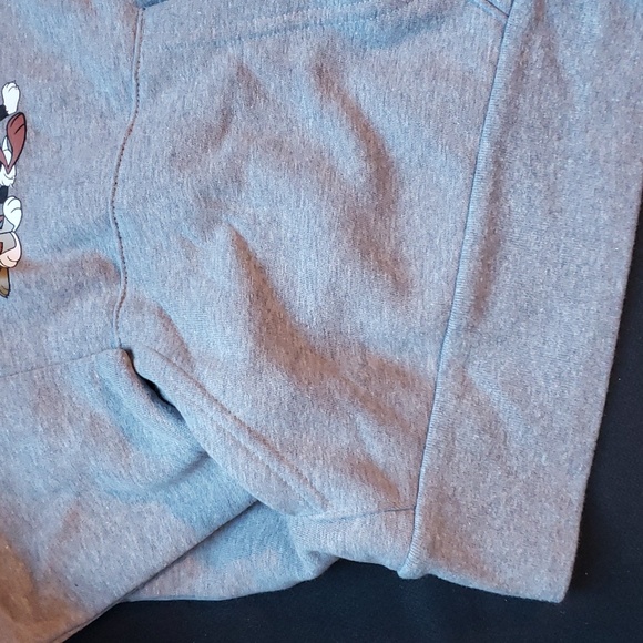 NWT Unisex Looney Tunes Sweatshirt Hoodie Thick Hoodie - Picture 7 of 9